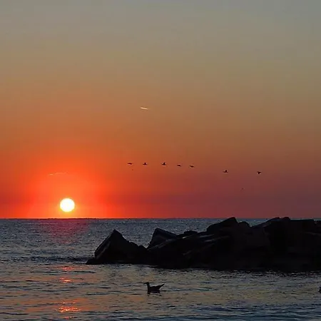 Apartment Sunrise Mangalia